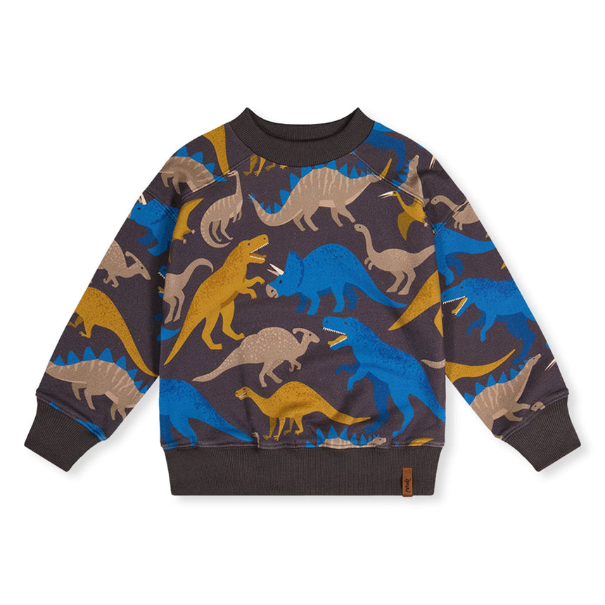 Kangourou Dinos Boys 7-10ans-Deux par Deux-Charcoal-7-2X2-J20U37-057C-CLÉMENT