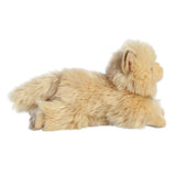 Chat Persan 8.5"-Aurora-AUO-26426-CLÉMENT