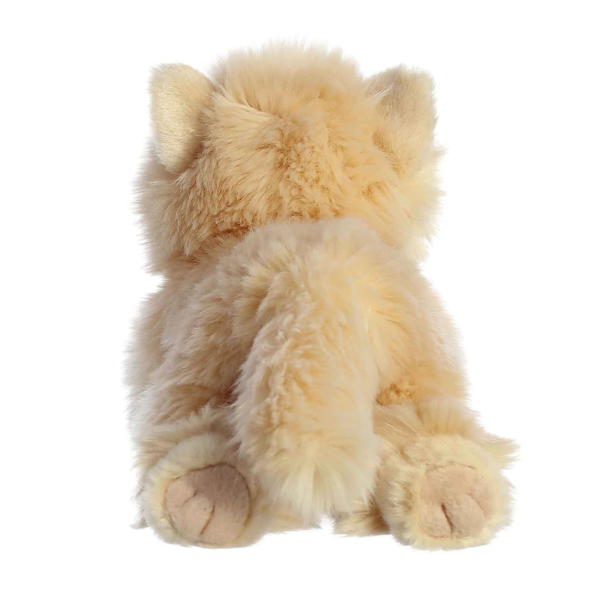 Chat Persan 8.5"-Aurora-AUO-26426-CLÉMENT