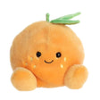 Orange Tangie-Aurora-AUO-33913-CLÉMENT