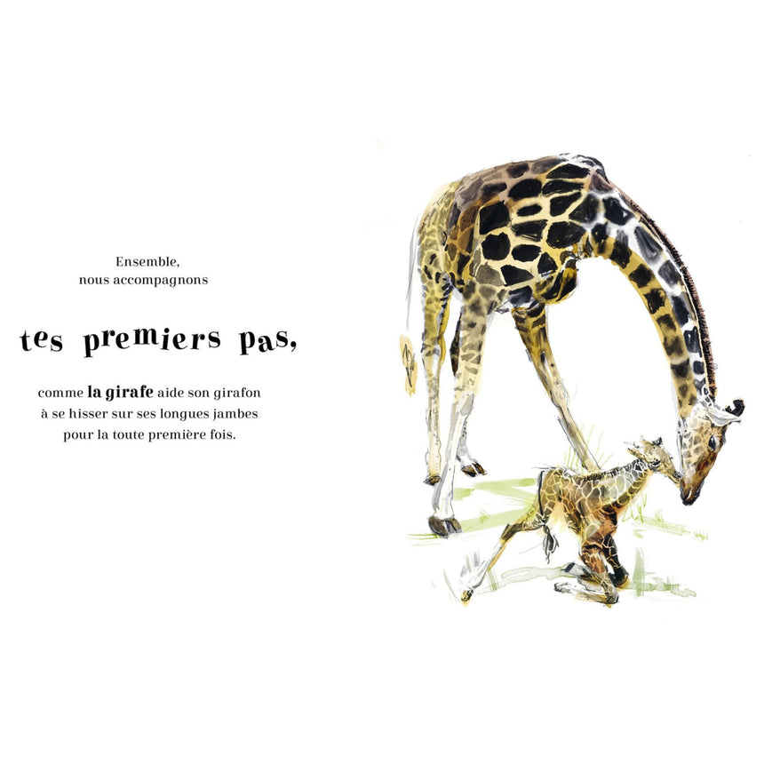 Toujours Ensemble-Auzou-AUZ-791039567626-CLÉMENT