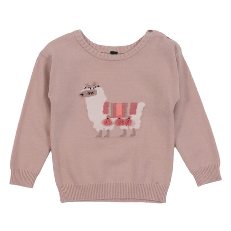 Pull Tricot Prairies 6-24mois-Nano-Beige-3 m-BOS-F2652-06-CLÉMENT