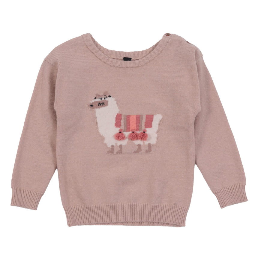 Pull Tricot Prairies 6-24mois-Nano-Beige-3 m-BOS-F2652-06-CLÉMENT