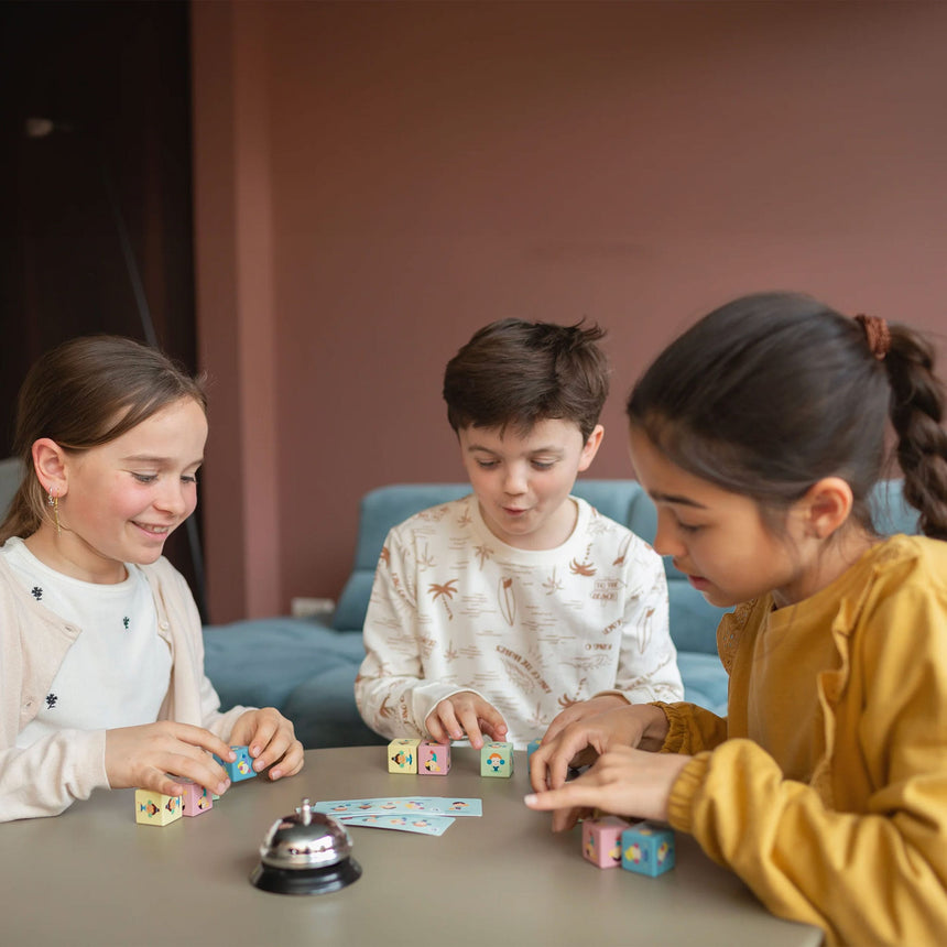 Cubes de vitesse-Clement - Equipement-BST-GA498-CLÉMENT