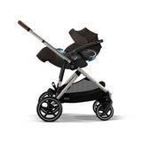 Siège Auto Cloud G Pro - Brun Chocolat-Cybex-CYB-525001093-CLÉMENT
