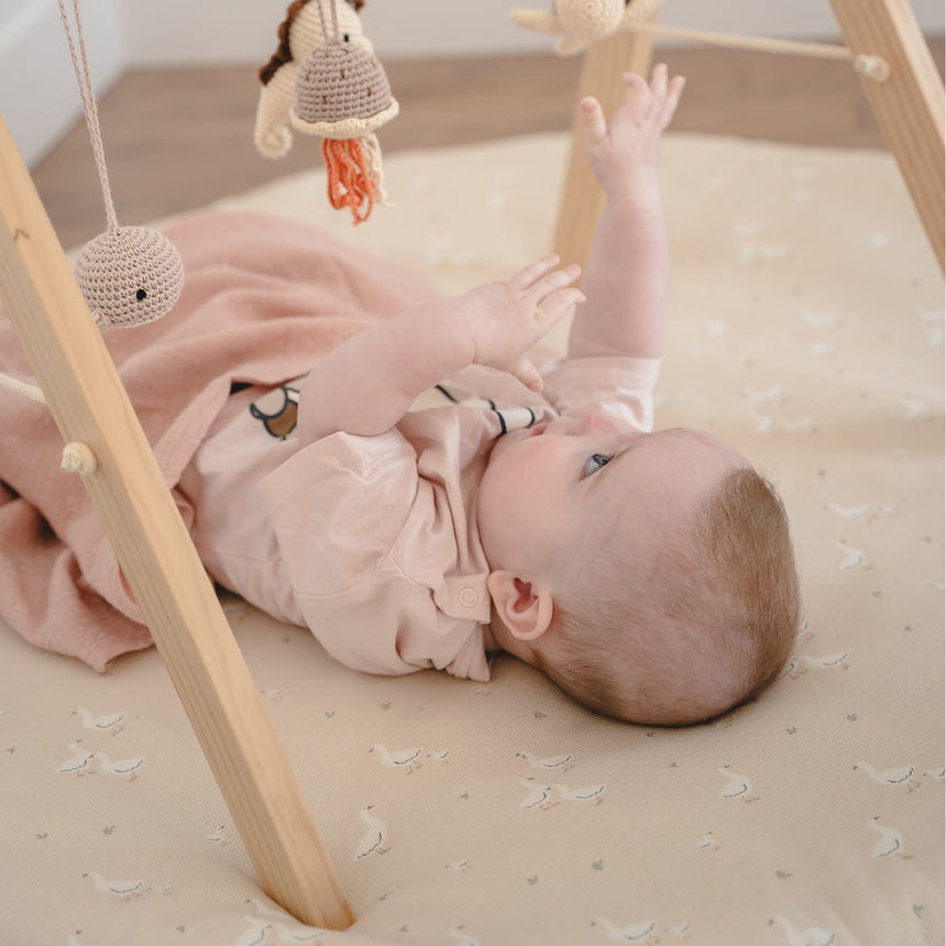 Tapis les Petites Oies-Ève & Jul-EVJ-TAPISOIES-CLÉMENT
