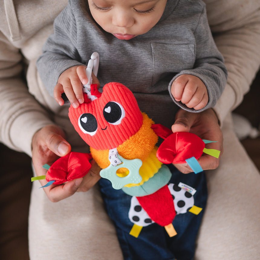 Jouet d'activités - Le Homard Liam-Lamaze-FYE-L27658-CLÉMENT