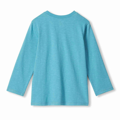 T-shirt Orignal 3-8ans-Hatley-HAT-F26DBK1465-CLÉMENT
