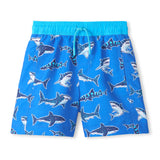Maillot UV Requins 3-6ans-Hatley-Bleu Royal-3-HAT-S26PSK809-CLÉMENT