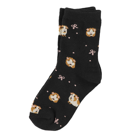 Bas Cochon d'Inde 2-12ans-Clement - Vetements-IMN-S25BF-01-2-CLÉMENT