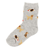 Bas Chien 9-24mois-Clement - Vetements-Gris-9-12 m-IMN-S26BG-01-1-CLÉMENT