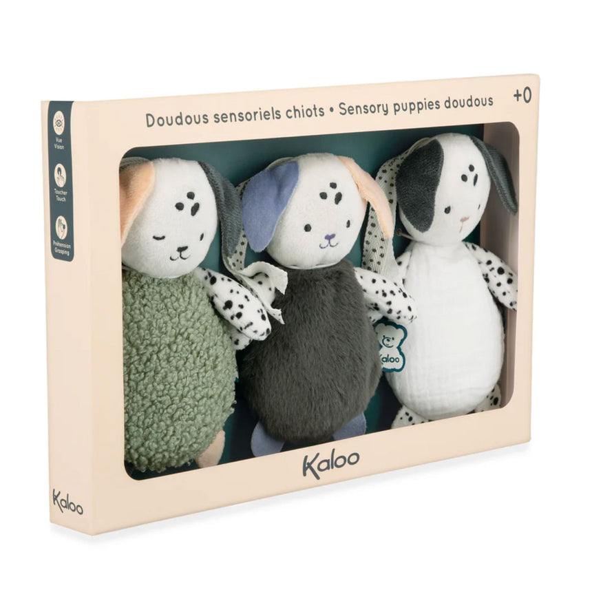 Doudous Sensoriel Chien(3)-Kaloo-KLO-K227007-CLÉMENT