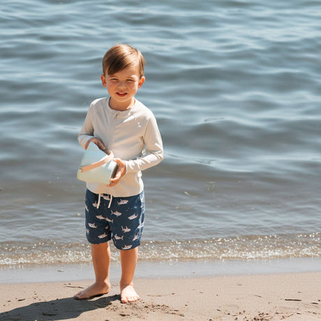 T-shirt Maillot Manches Longues Gris 2-7ans-Petit Lem-LEM-26SRM04M13K-CLÉMENT