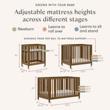 Couchette Convertible 9-en-1 Rolli - Noyer Naturel-Babyletto-LET-M30880NL-CLÉMENT