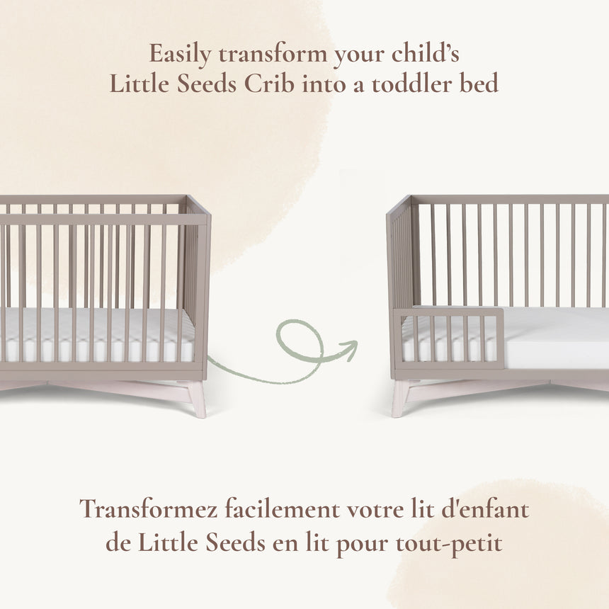 Option De Jour Pala - Taupe-Little Seeds-LIS-TF008TPPH-CLÉMENT