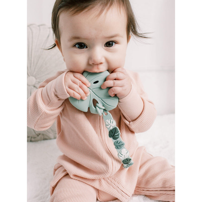 Attache-Suce en Silicone - Monstera-Loulou Lollipop-LLP-SILCPMON-CLÉMENT