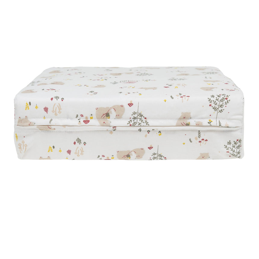 Coussin Angulaire Petit - Ours-Perlimpinpin-PER-L4726-OU-CLÉMENT