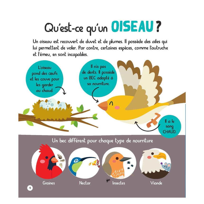 Mon Encyclopetit des Animaux-Prologue-PRL-A098816-CLÉMENT