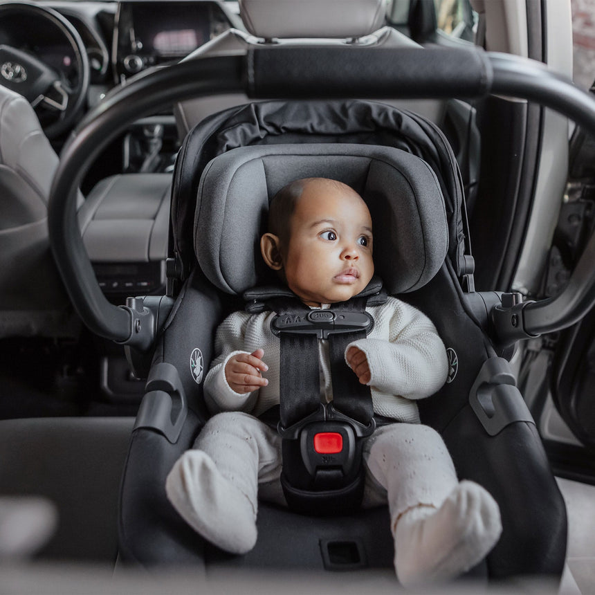Siège Auto Aria V2 - Evelyn-UPPAbaby-UPP-1002ARICAEVE-CLÉMENT