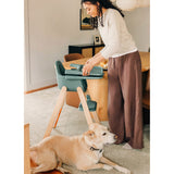Chaise Haute Ciro V2 - Betsy-UPPAbaby-UPP-1702CIRNABTY-CLÉMENT