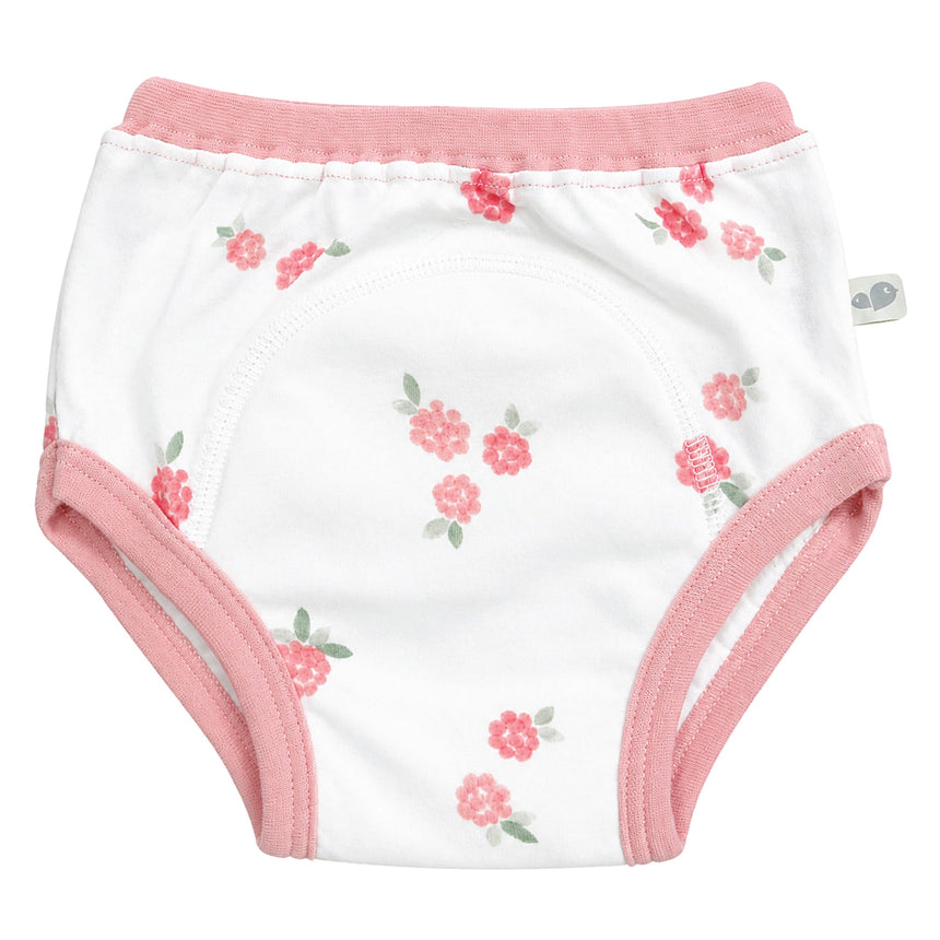 Culottes d'entrainement 2-4ans-Perlimpinpin-VPE-TP617-BB-2-CLÉMENT